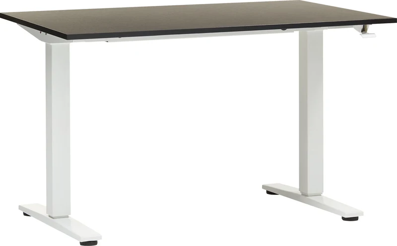 ECCO Light_Pult