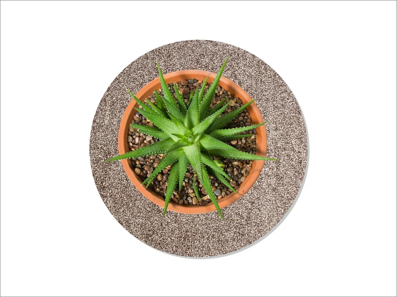 3 STÜCK flora-s.warmgrey, Art. 145-044233, outlet, ø 25 cm