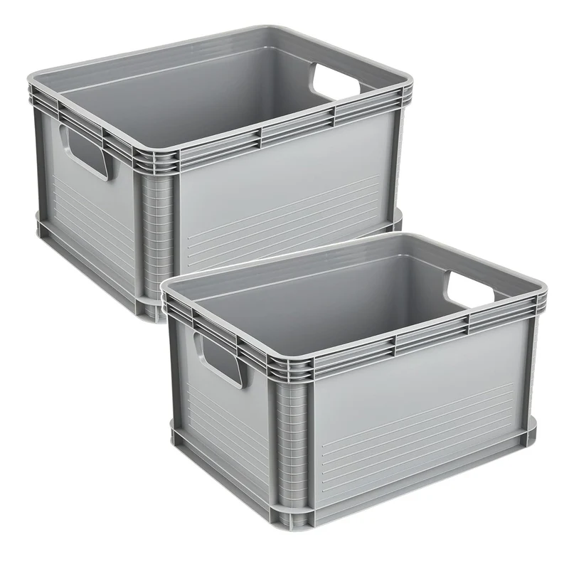 Contenitore da trasporto Robert Keeeper, capacità 20 L, grigio, adatto al contatto con gli alimenti, leggero e resistente, portata fino a 30 kg, 2 pezzi