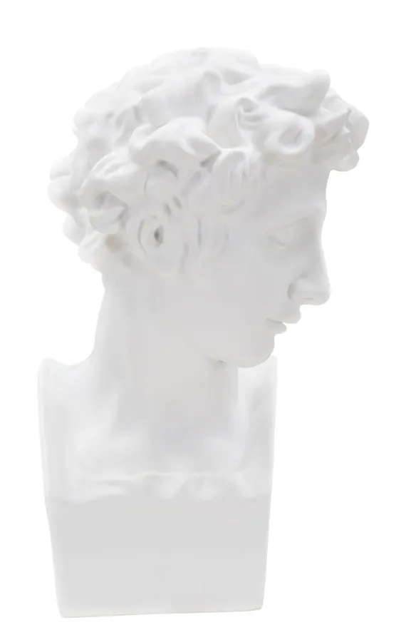 Scultura testa maschile classica in stile rinascimentale 20x30 cm - CLAUDIA